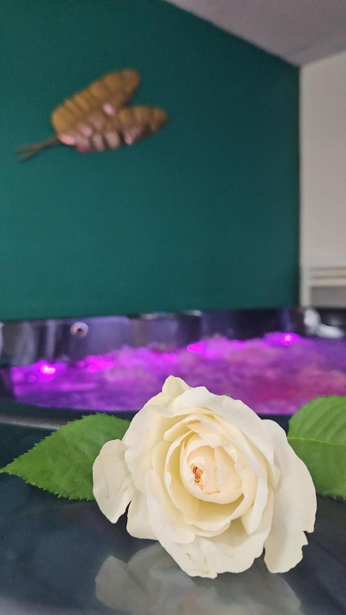 Suite Jacuzzi "Spa Privatif " Appartement Jacuzzi 圖盧茲 外观 照片